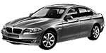 BMW F10 C20E9 Fault Code